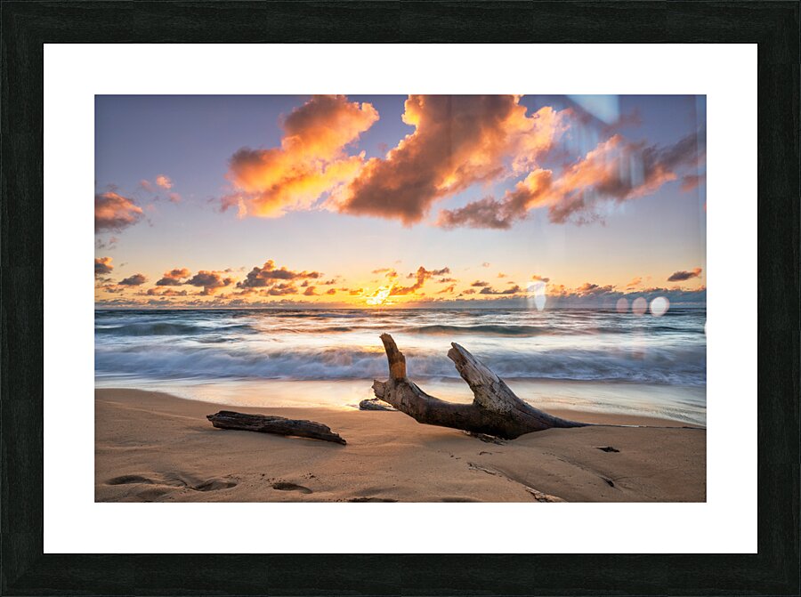 DSC05641 Picture Frame print