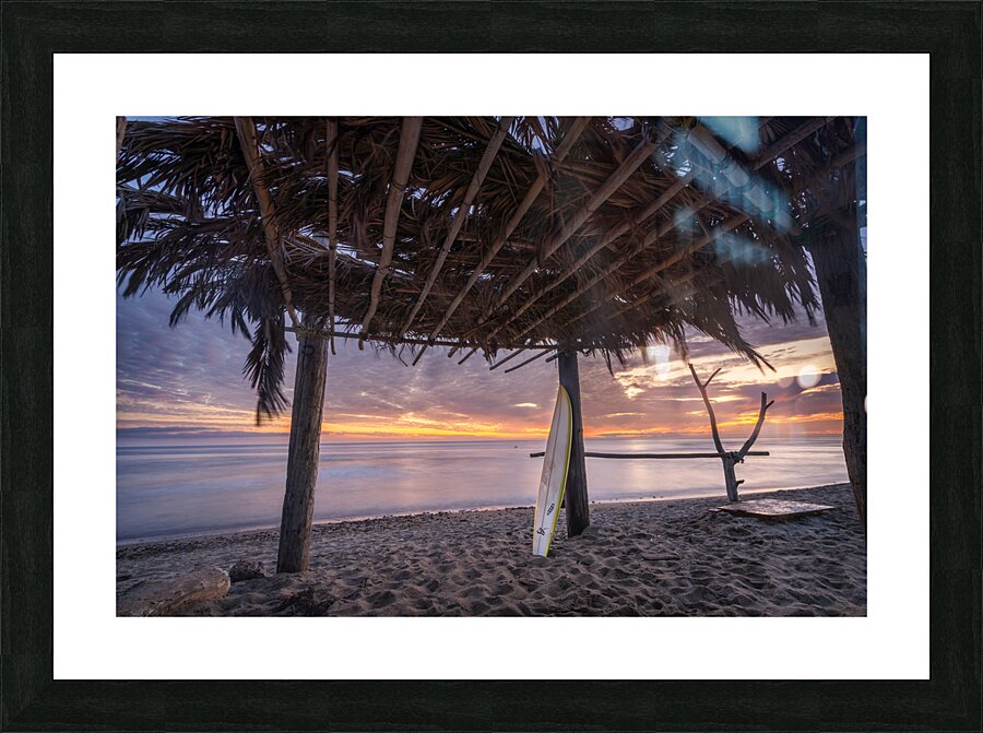 DSC04965t Picture Frame print