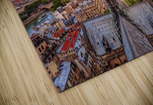 Notre Dame rooftop Yves COUTURIER puzzle