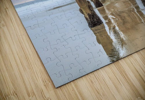 Under scripps pier Yves COUTURIER puzzle