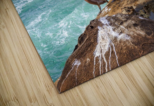 Pelicans 2 Yves COUTURIER puzzle
