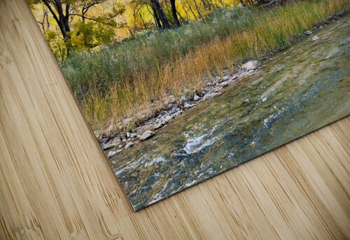 Fall in Zion Yves COUTURIER puzzle