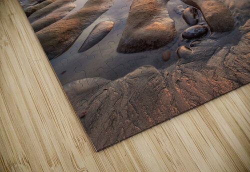 La Jolla reef Yves COUTURIER puzzle
