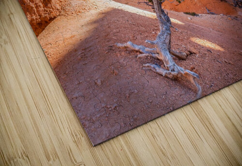 Lone tree at Bryce Yves COUTURIER puzzle
