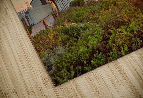 Point Loma Yves COUTURIER puzzle