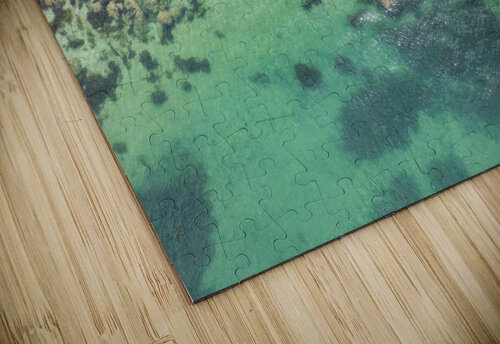 plage des oiseaux 2 Yves COUTURIER puzzle