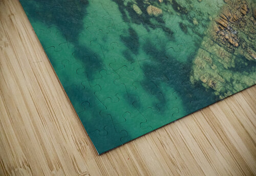 plage des oiseaux Yves COUTURIER puzzle