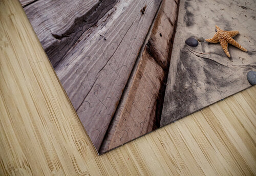 Leucadia beach Yves COUTURIER puzzle