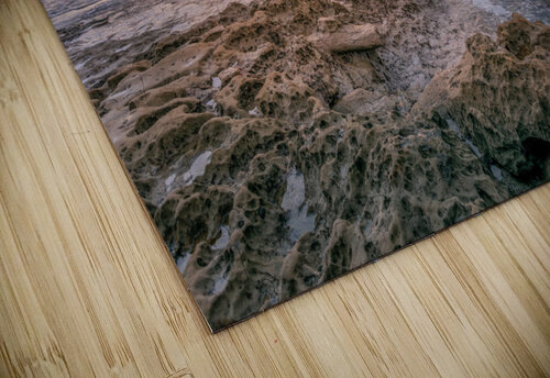 La Jolla reef 5 Yves COUTURIER puzzle
