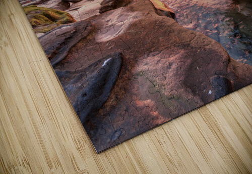 La Jolla reef 6 Yves COUTURIER puzzle