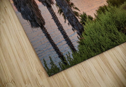 swami s2 Yves COUTURIER puzzle