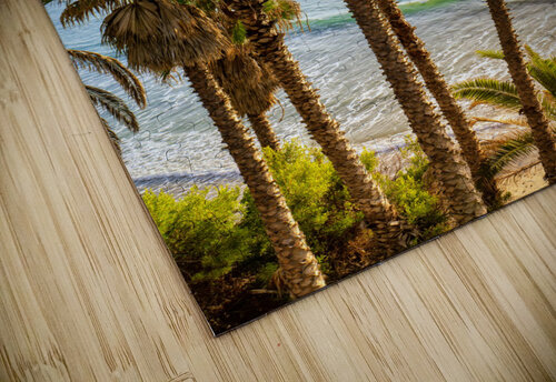 Palmtrees at Swamis Yves COUTURIER puzzle