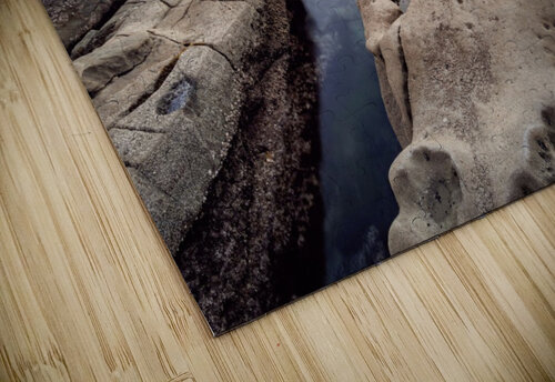 La Jolla reef 2 Yves COUTURIER puzzle