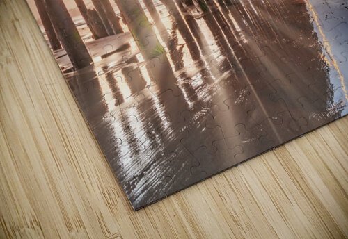 Santa Barbara Pier Yves COUTURIER puzzle