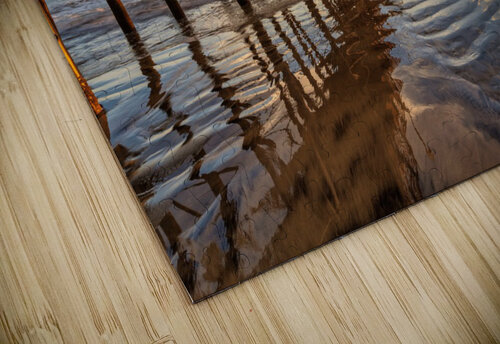 oceanside pier Yves COUTURIER puzzle