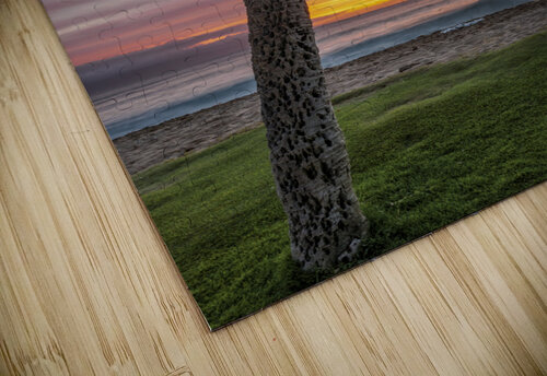 sunset coconut  Yves COUTURIER puzzle