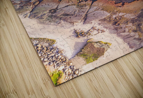 swamis reef Yves COUTURIER puzzle