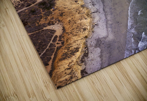 Dogs beach Yves COUTURIER puzzle
