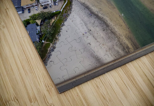 dogs beach Yves COUTURIER puzzle