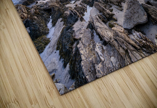 Corona del mar Yves COUTURIER puzzle