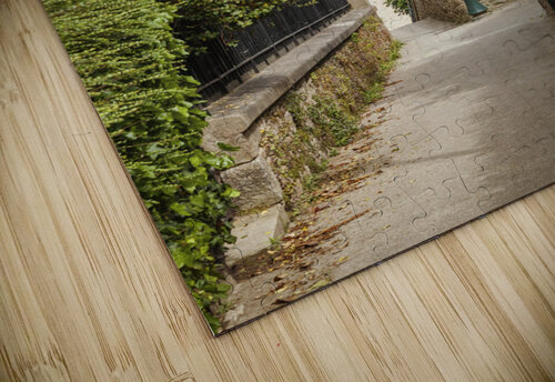 The beach path Yves COUTURIER puzzle