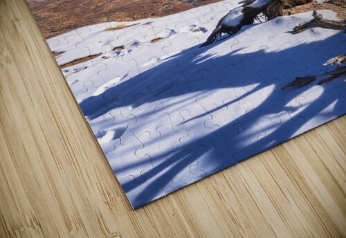winter in canyonland Yves COUTURIER puzzle