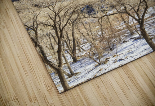 In Zion Yves COUTURIER puzzle