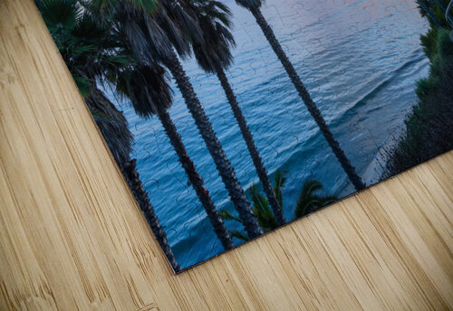 Swamis beach  Encinitas Yves COUTURIER puzzle