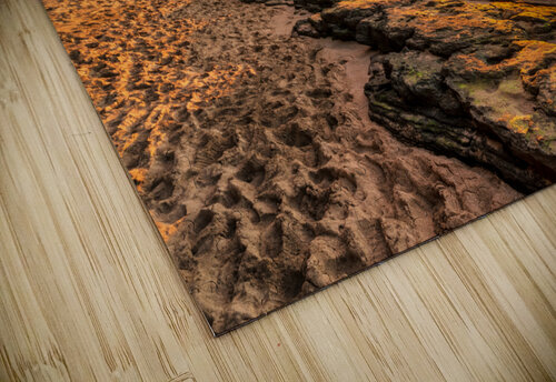 Kee beach Yves COUTURIER puzzle