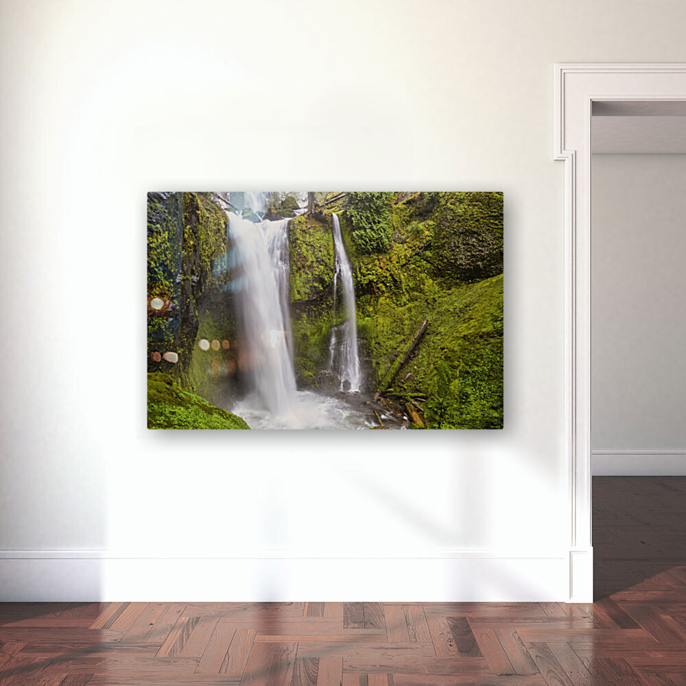 Falls creef falls Reproduction