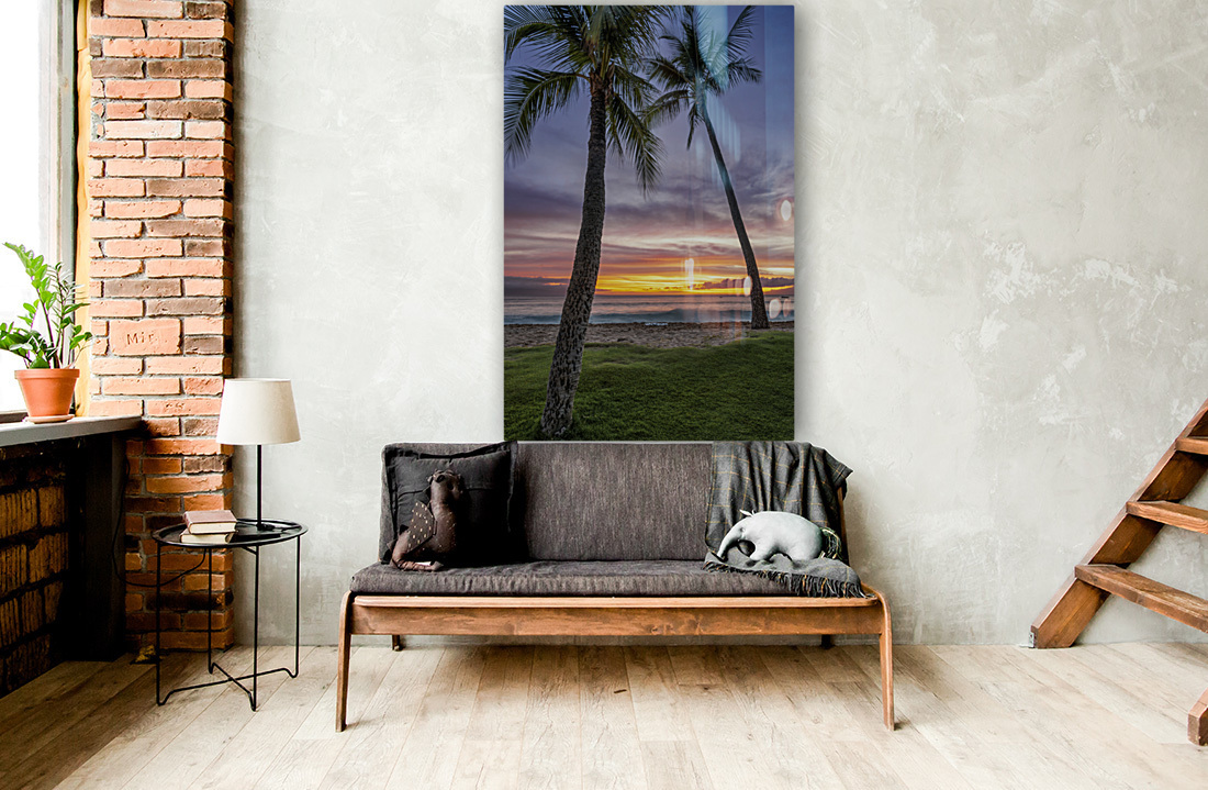 sunset coconut  Reproduction