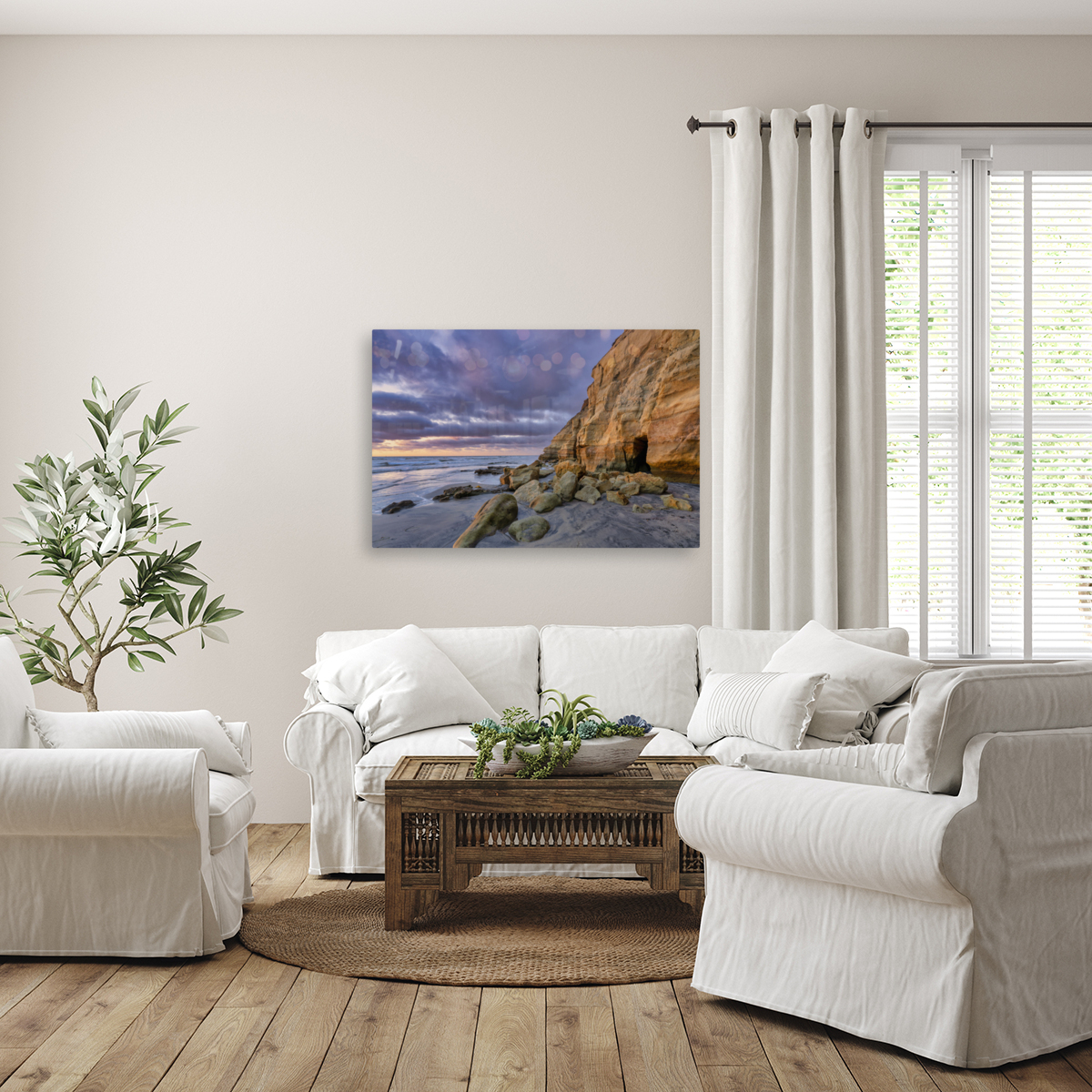 solana beach  Reproduction