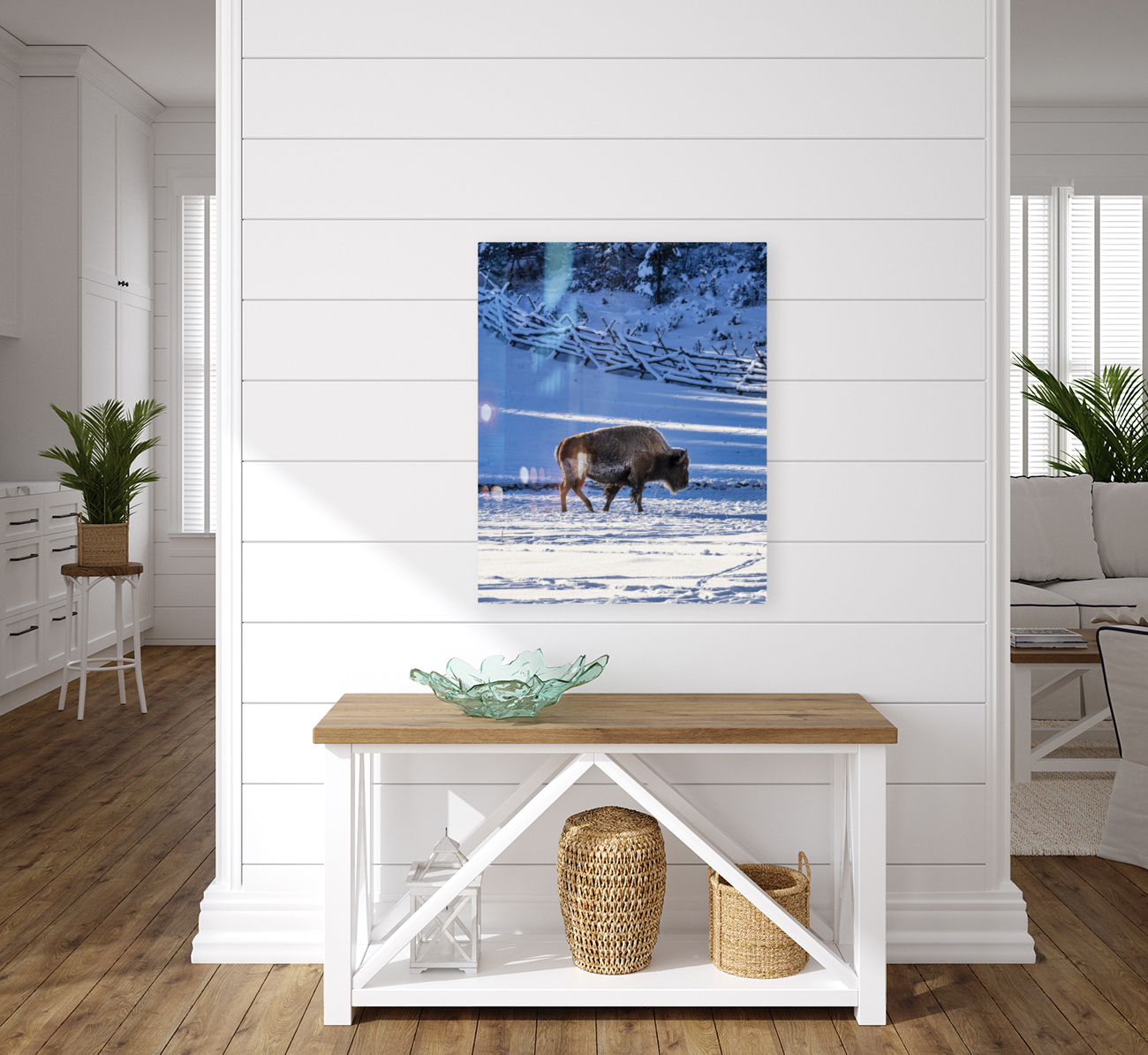 Zion bison 2 Reproduction