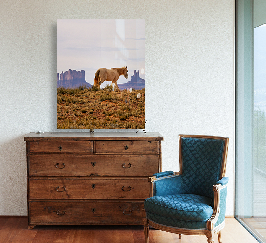 At monument valley Reproduction