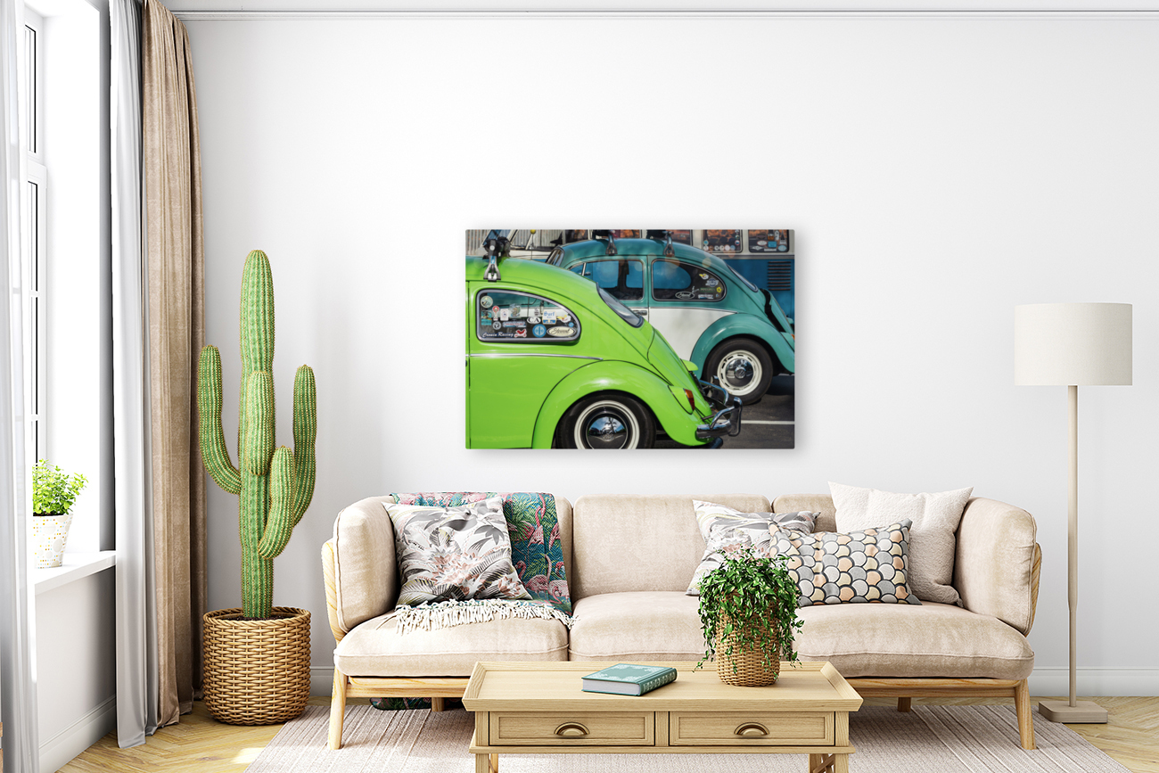 Old beetles Reproduction