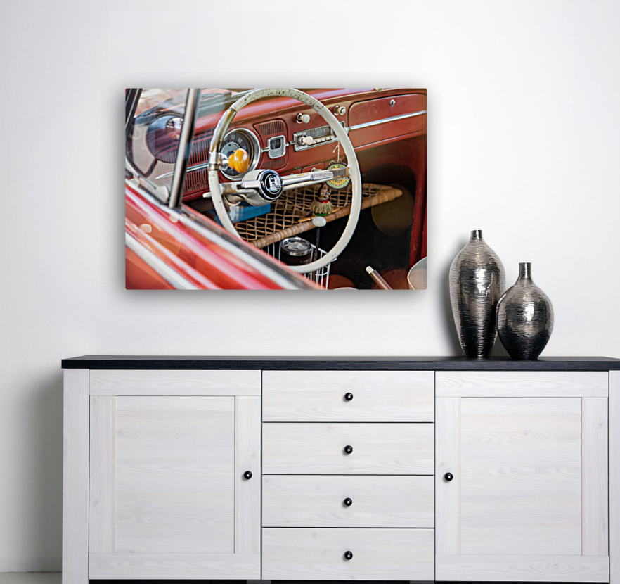 Vw beetle Reproduction