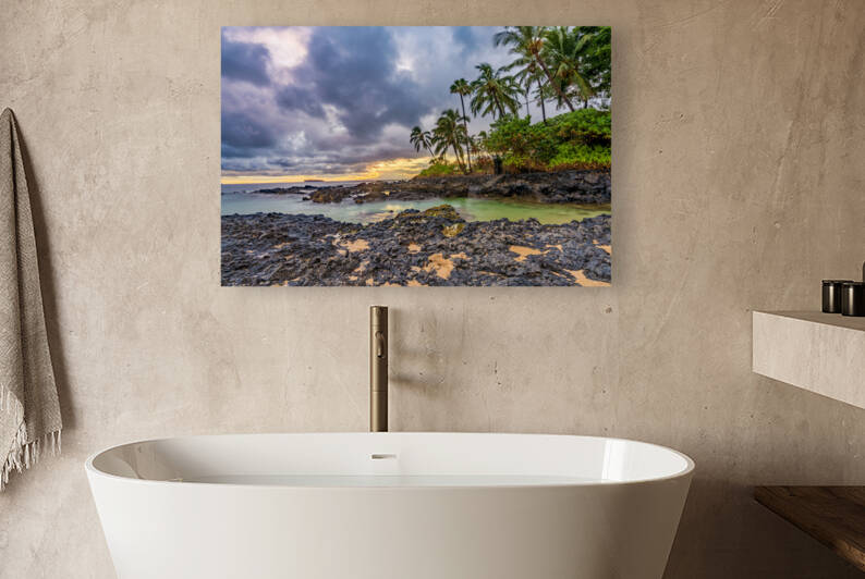 secret cove 2 Reproduction