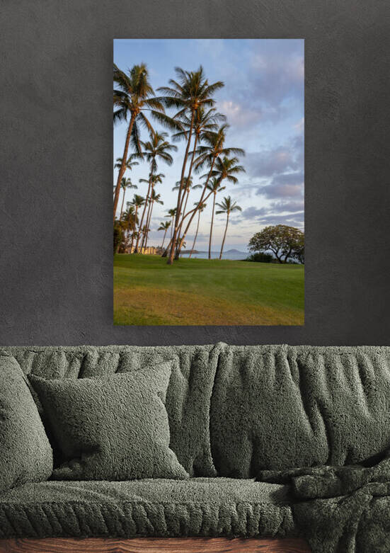 Kihei coconut trees by Yves COUTURIER