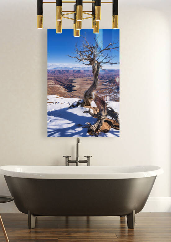 winter in canyonland Reproduction