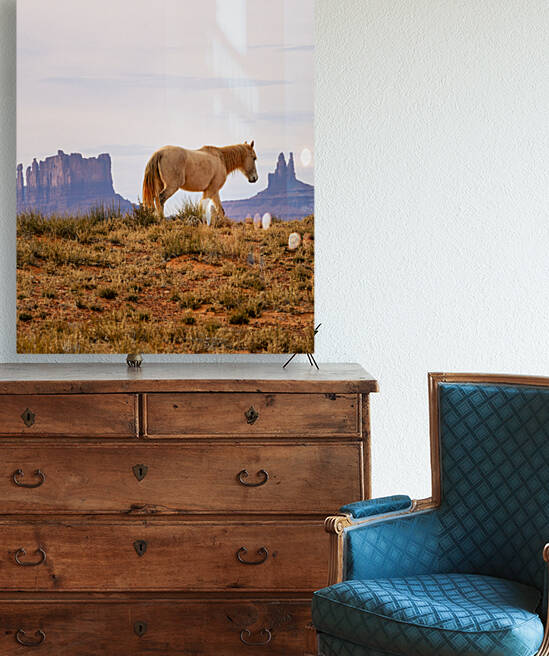 At monument valley Reproduction