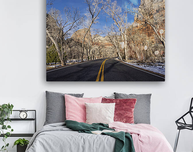 Road in Zion Reproduction