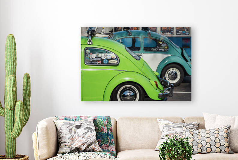 Old beetles Reproduction