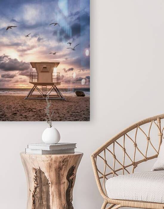 Seagulls at Monnlight beach by Yves COUTURIER