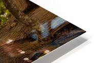 Under the old oak tree HD Metal print