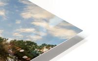 il colosseum HD Metal print