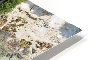 plage des oiseaux HD Metal print