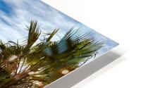 Palmtrees at Swamis HD Metal print