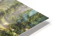 Falls creek fall HD Metal print