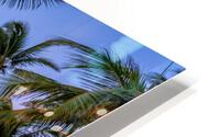 kaanapili sunset HD Metal print