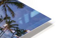 Charley young beach HD Metal print